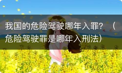 我国的危险驾驶哪年入罪？（危险驾驶罪是哪年入刑法）