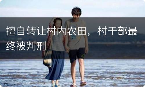 擅自转让村内农田，村干部最终被判刑
