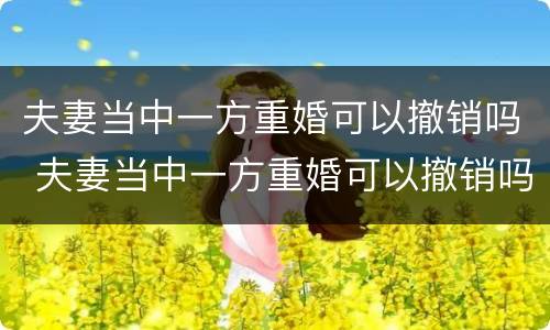 夫妻当中一方重婚可以撤销吗 夫妻当中一方重婚可以撤销吗法律规定