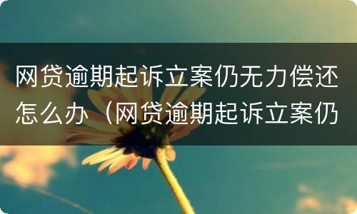 网贷逾期起诉立案仍无力偿还怎么办（网贷逾期起诉立案仍无力偿还怎么办呢）