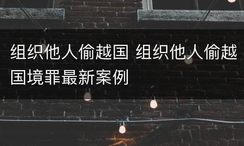 组织他人偷越国 组织他人偷越国境罪最新案例