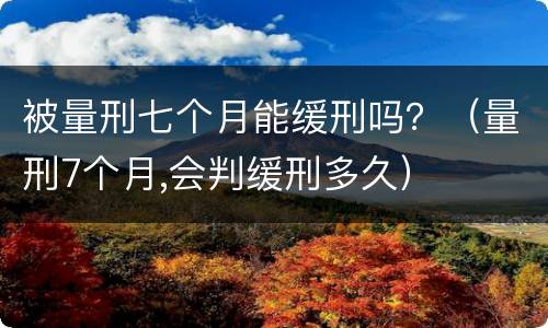 被量刑七个月能缓刑吗？（量刑7个月,会判缓刑多久）