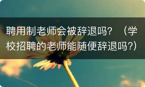 聘用制老师会被辞退吗？（学校招聘的老师能随便辞退吗?）