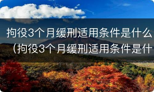 拘役3个月缓刑适用条件是什么（拘役3个月缓刑适用条件是什么呢）