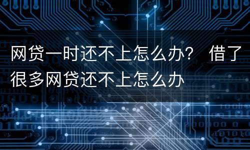 网贷一时还不上怎么办？ 借了很多网贷还不上怎么办