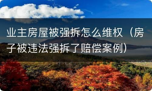 业主房屋被强拆怎么维权（房子被违法强拆了赔偿案例）