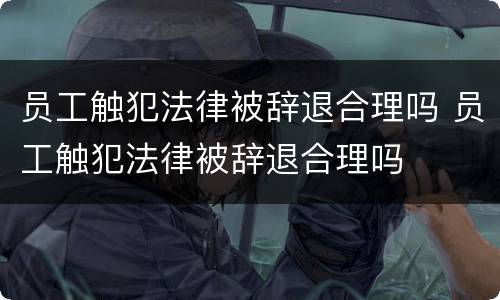 员工触犯法律被辞退合理吗 员工触犯法律被辞退合理吗