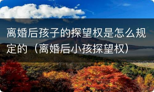 离婚后孩子的探望权是怎么规定的（离婚后小孩探望权）