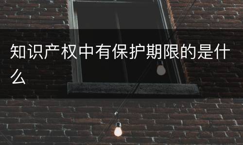 知识产权中有保护期限的是什么