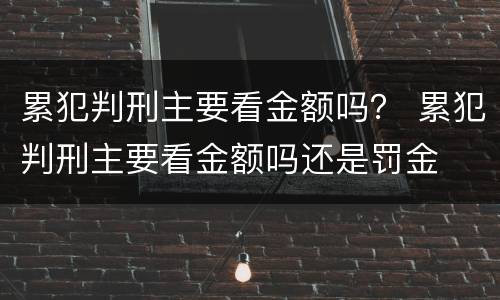 累犯判刑主要看金额吗？ 累犯判刑主要看金额吗还是罚金
