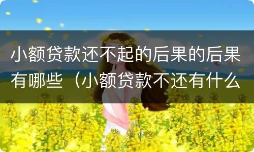 小额贷款还不起的后果的后果有哪些（小额贷款不还有什么后果）