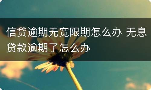 信贷逾期无宽限期怎么办 无息贷款逾期了怎么办