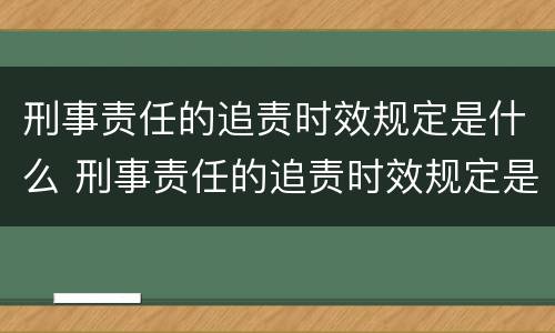 刑事责任的追责时效规定是什么 刑事责任的追责时效规定是什么时候实施