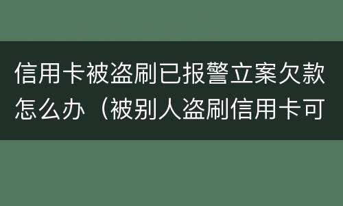 信用卡被盗刷已报警立案欠款怎么办（被别人盗刷信用卡可以立案吗）