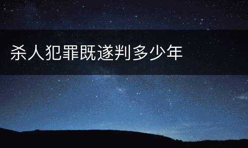 杀人犯罪既遂判多少年