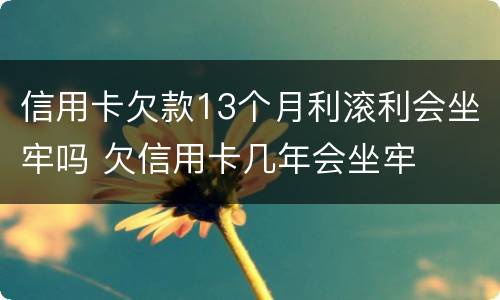 信用卡欠款13个月利滚利会坐牢吗 欠信用卡几年会坐牢