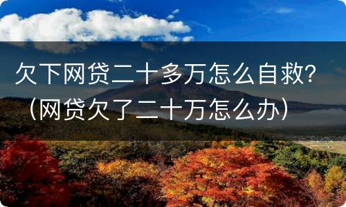 欠下网贷二十多万怎么自救？（网贷欠了二十万怎么办）