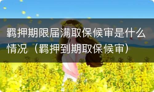 羁押期限届满取保候审是什么情况（羁押到期取保候审）