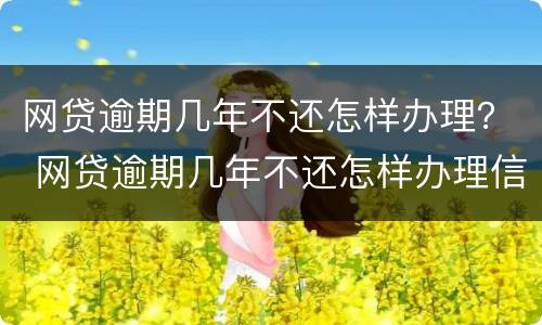 网贷逾期几年不还怎样办理？ 网贷逾期几年不还怎样办理信用卡
