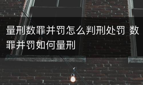 量刑数罪并罚怎么判刑处罚 数罪并罚如何量刑