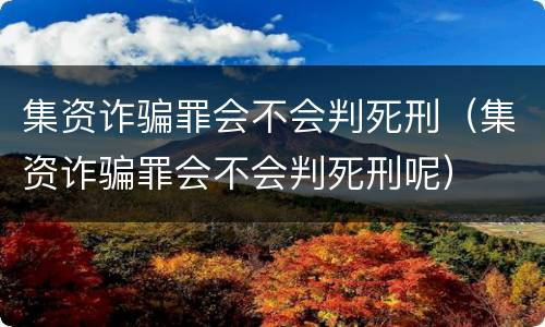 集资诈骗罪会不会判死刑（集资诈骗罪会不会判死刑呢）
