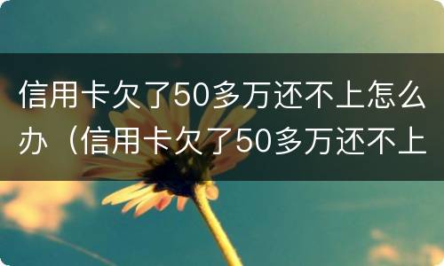 信用卡欠了50多万还不上怎么办（信用卡欠了50多万还不上怎么办呀）