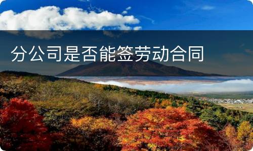 分公司是否能签劳动合同