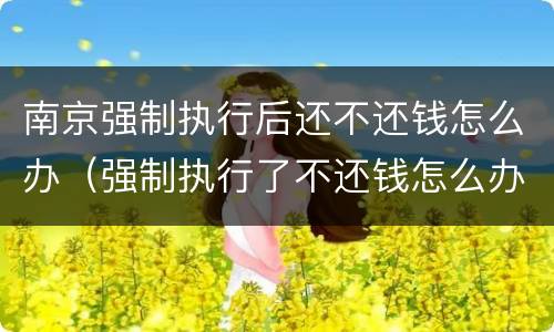 南京强制执行后还不还钱怎么办（强制执行了不还钱怎么办）