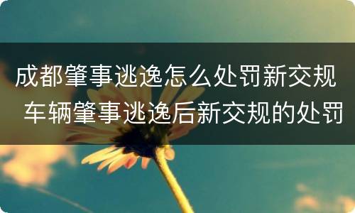 成都肇事逃逸怎么处罚新交规 车辆肇事逃逸后新交规的处罚