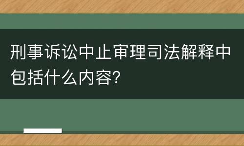 刑事诉讼中止审理司法解释中包括什么内容？