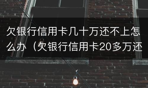 欠银行信用卡几十万还不上怎么办（欠银行信用卡20多万还不上咋办）