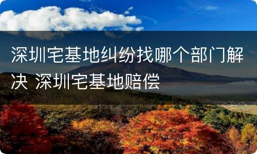 深圳宅基地纠纷找哪个部门解决 深圳宅基地赔偿