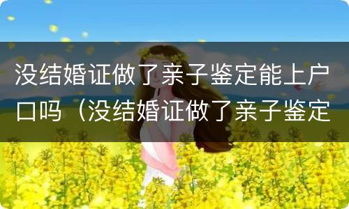 没结婚证做了亲子鉴定能上户口吗（没结婚证做了亲子鉴定能上户口吗有影响吗）