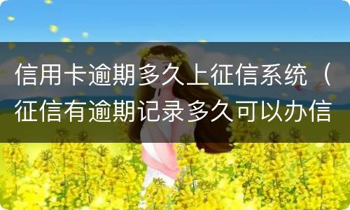 信用卡逾期多久上征信系统（征信有逾期记录多久可以办信用卡）