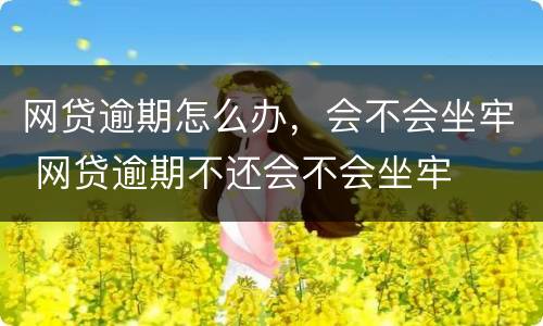 网贷逾期怎么办，会不会坐牢 网贷逾期不还会不会坐牢