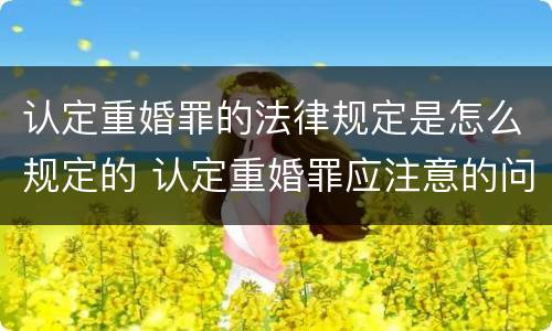 认定重婚罪的法律规定是怎么规定的 认定重婚罪应注意的问题