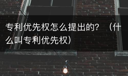 专利优先权怎么提出的？（什么叫专利优先权）