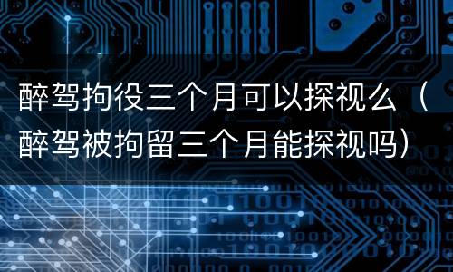 醉驾拘役三个月可以探视么（醉驾被拘留三个月能探视吗）