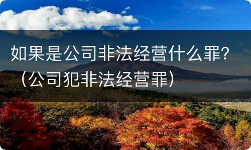 如果是公司非法经营什么罪？（公司犯非法经营罪）