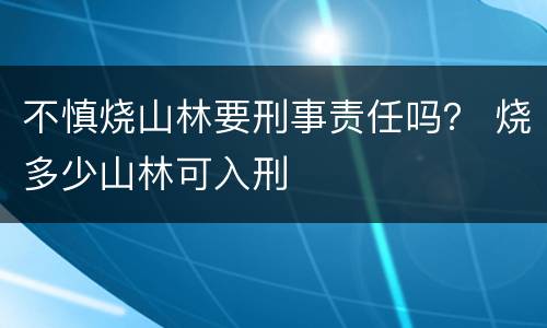 不慎烧山林要刑事责任吗？ 烧多少山林可入刑