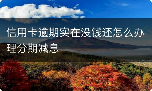 信用卡逾期实在没钱还怎么办理分期减息