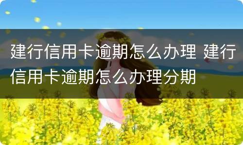 建行信用卡逾期怎么办理 建行信用卡逾期怎么办理分期