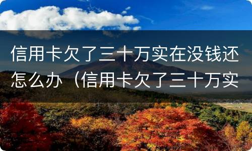 信用卡欠了三十万实在没钱还怎么办（信用卡欠了三十万实在没钱还怎么办呢）