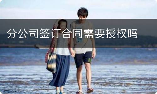 分公司签订合同需要授权吗