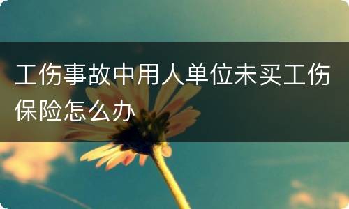 工伤事故中用人单位未买工伤保险怎么办