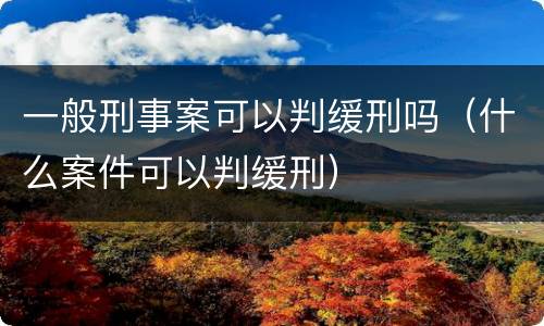 一般刑事案可以判缓刑吗（什么案件可以判缓刑）