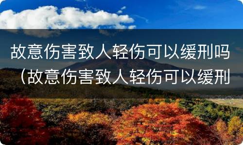 故意伤害致人轻伤可以缓刑吗（故意伤害致人轻伤可以缓刑吗）