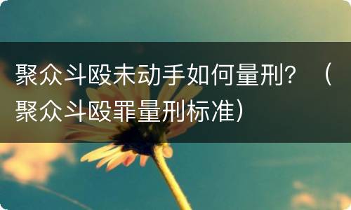 聚众斗殴未动手如何量刑？（聚众斗殴罪量刑标准）