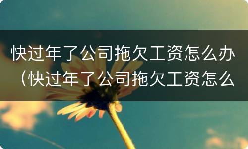 快过年了公司拖欠工资怎么办（快过年了公司拖欠工资怎么办呢）