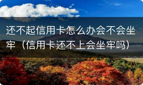 还不起信用卡怎么办会不会坐牢（信用卡还不上会坐牢吗）
